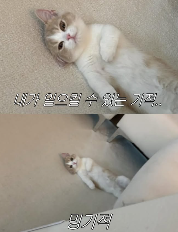 이번엔 같이 회고해보실까요?의 썸네일 이미지