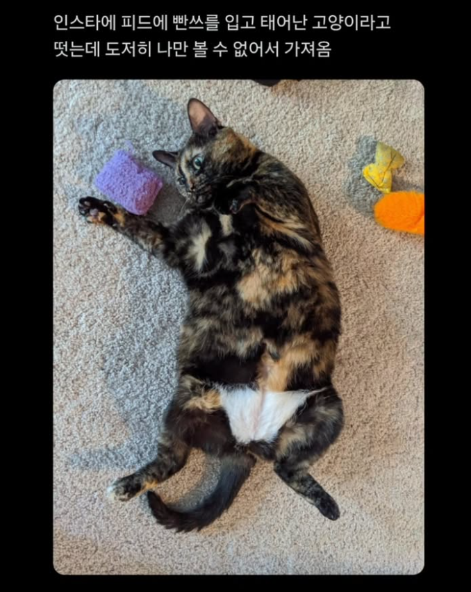 산책하기 좋~은 날씨가 오고 있습니다.의 썸네일 이미지