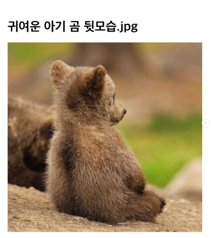 완연한 가을입니다!의 썸네일 이미지