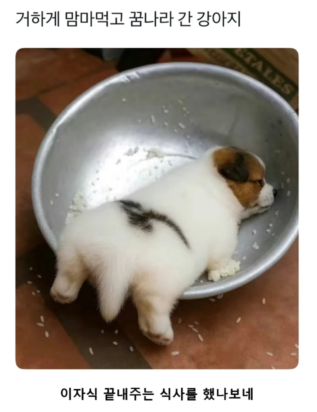 휴가를 즐기지 못하는 프리랜서들에게의 썸네일 이미지