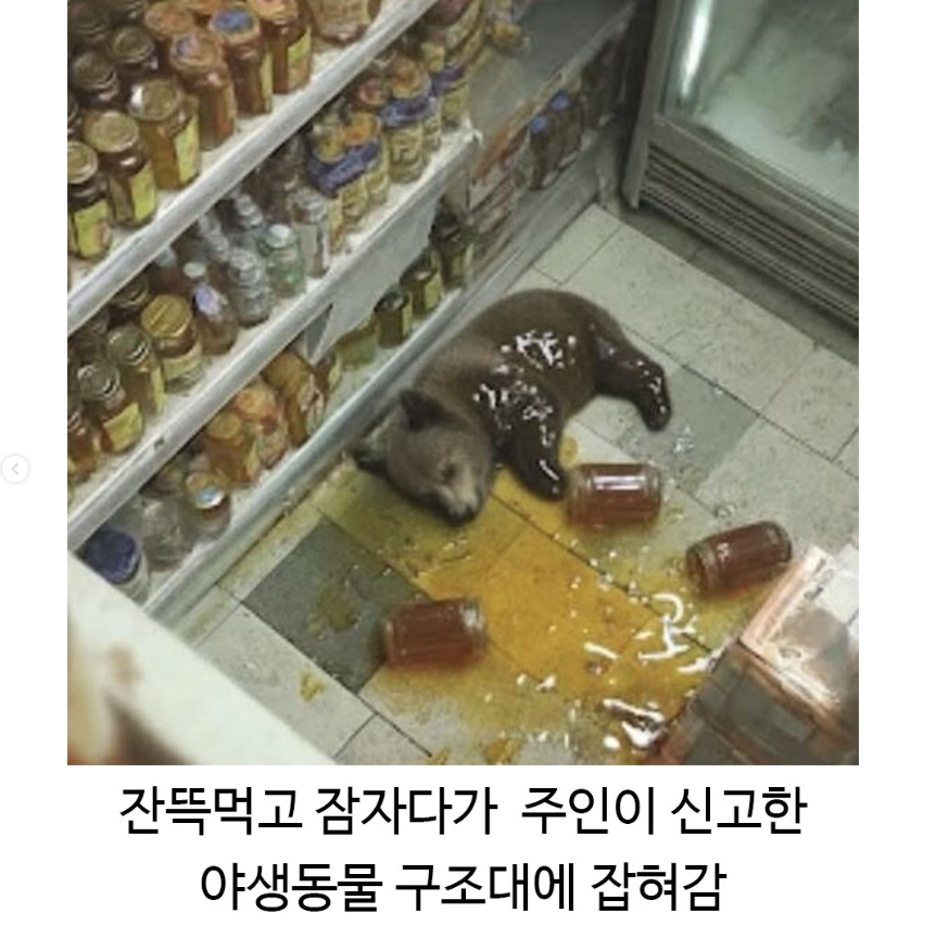 때 이른 연말 인사, 그리고..의 썸네일 이미지