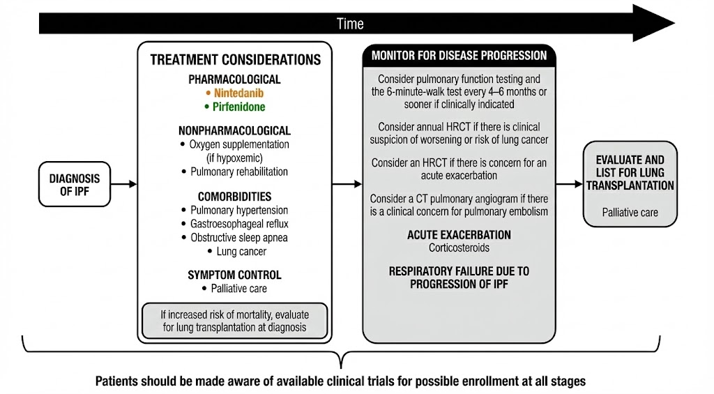 Adapted from. ATS/ERS/JRS/ALAT Clinical Practice Guideline