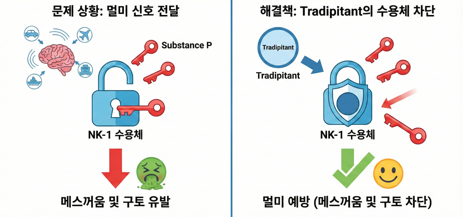 Tradipitant 작용기전(Gemini 나노바나나로 제작한 이미지입니다.)