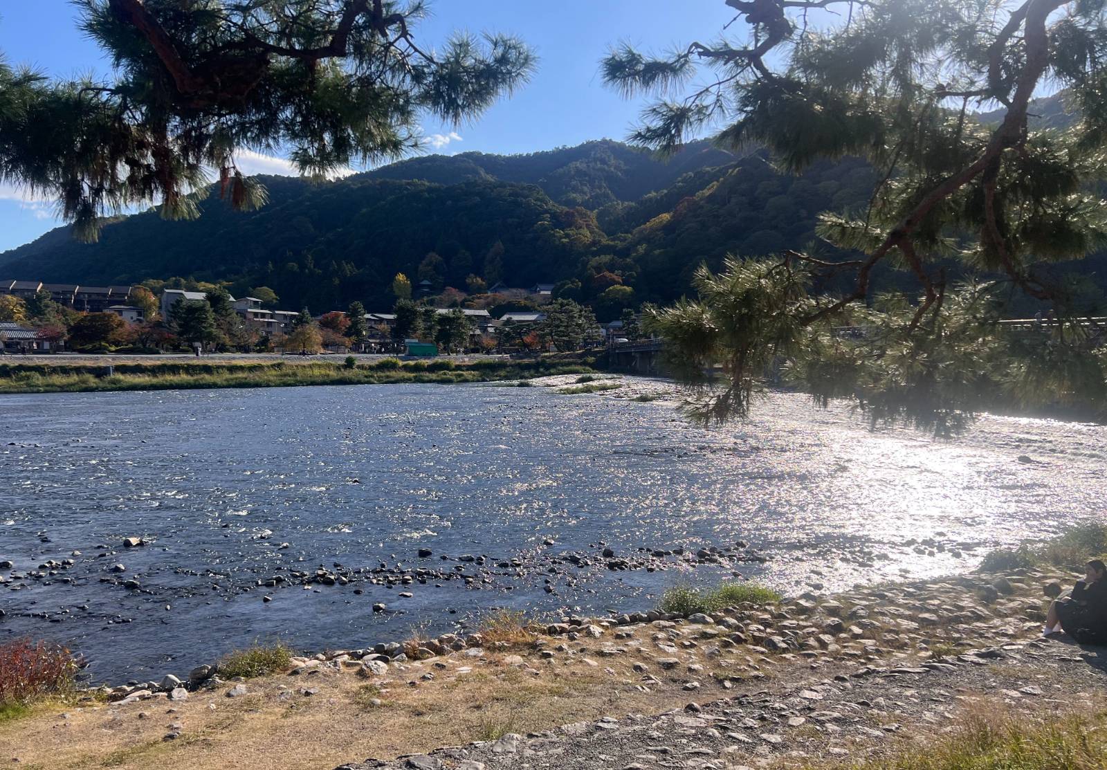 네게 무해한 사람, 내게 유해한 사람의 썸네일 이미지