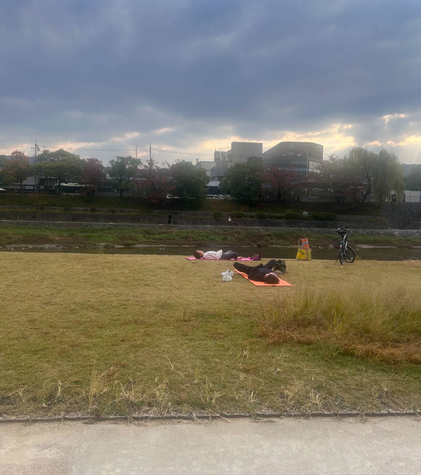 가모강변의 아침 요기니들