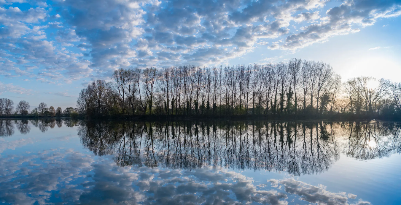 이미지 출처: Wikimedia Commons