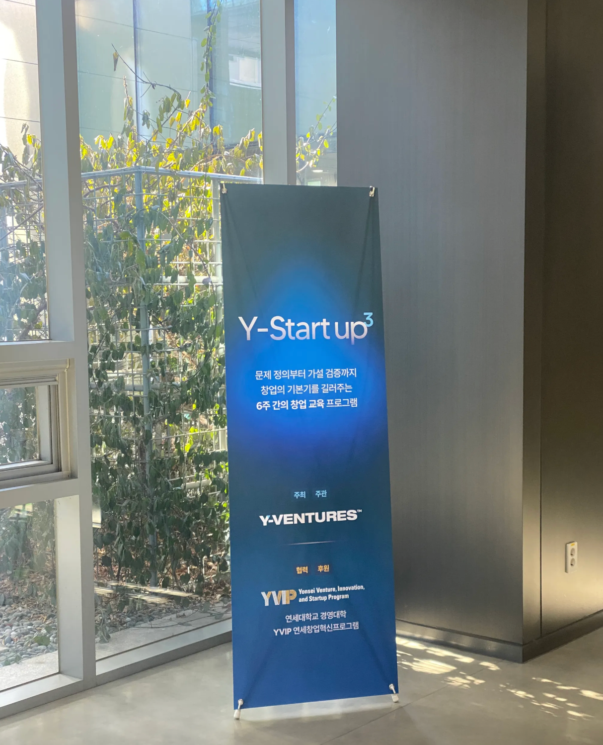 2026년을 시작하는 Y-VENTURES!의 썸네일 이미지