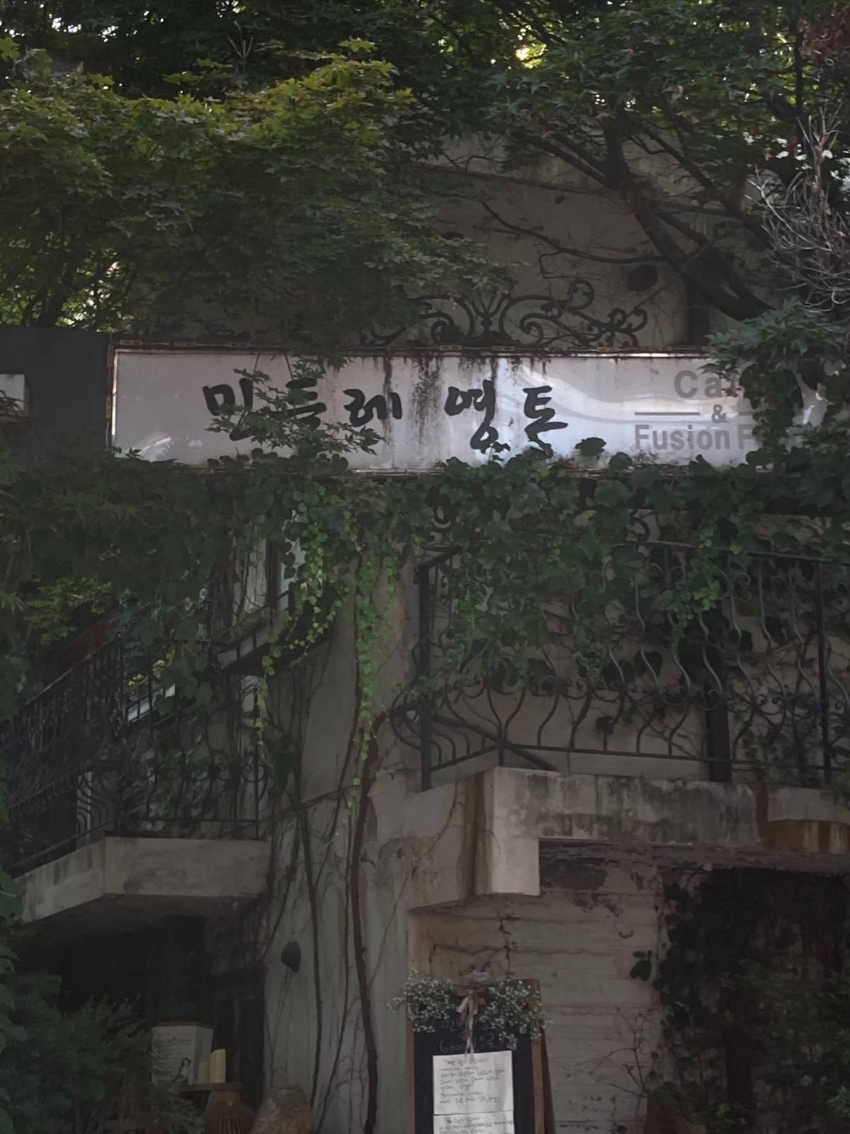 회기 민들레 영토