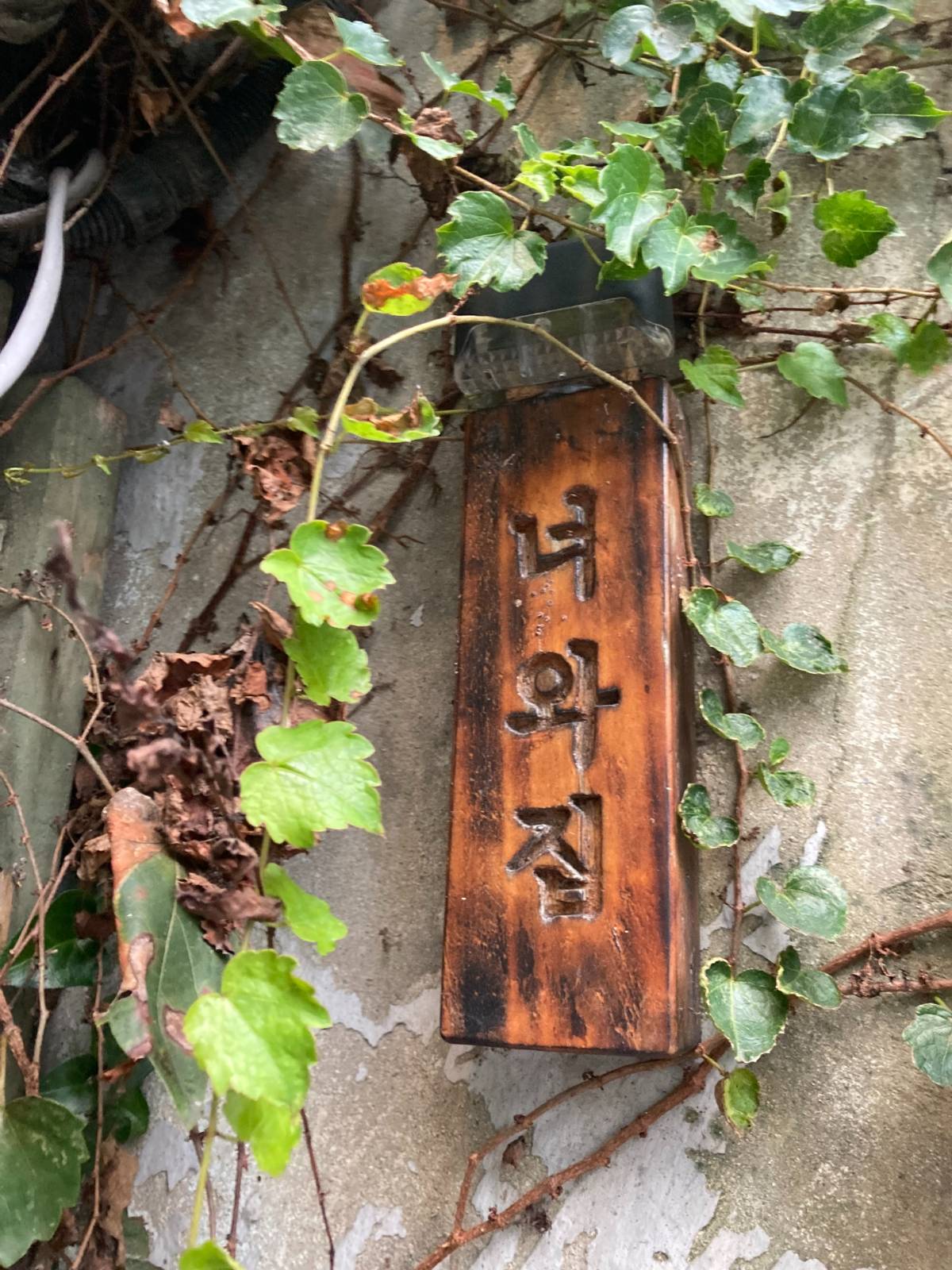 첨부 이미지