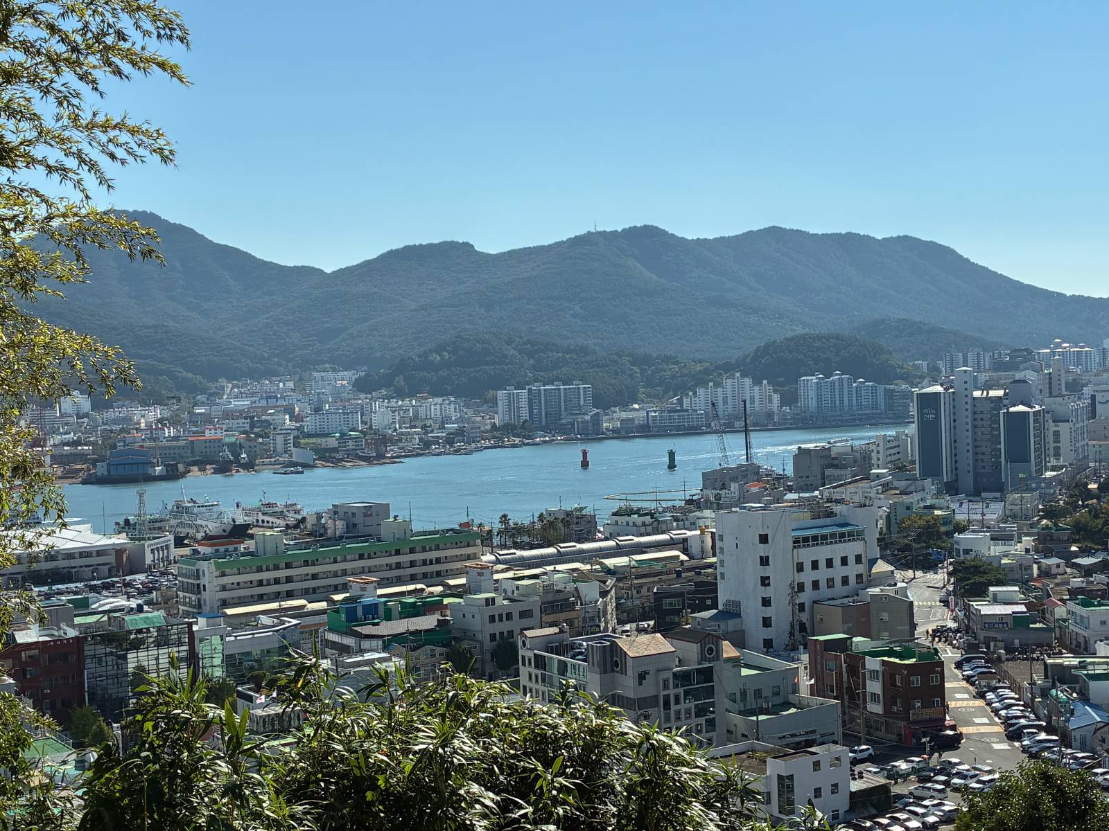 첨부 이미지