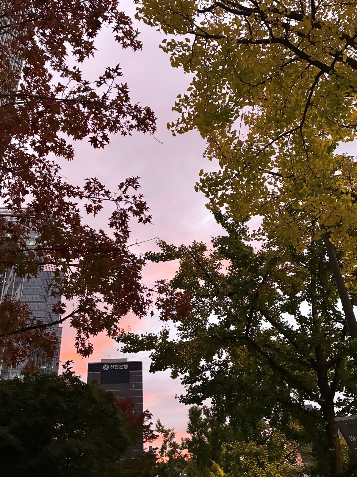지난 주말 청계천 부근