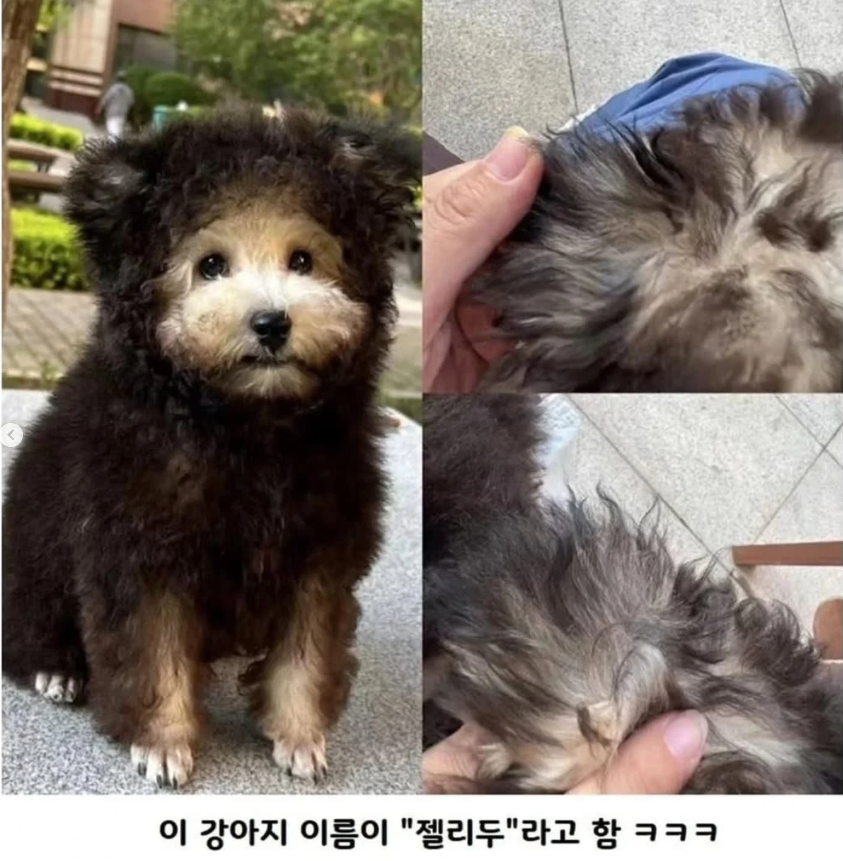 요번에는 고해성사입니다의 썸네일 이미지