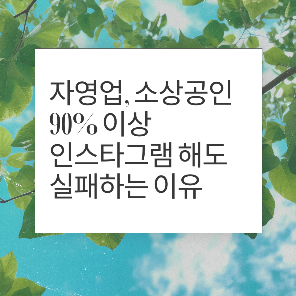 자영업 소상공인 인스타그램 콘텐츠 실패의 썸네일 이미지