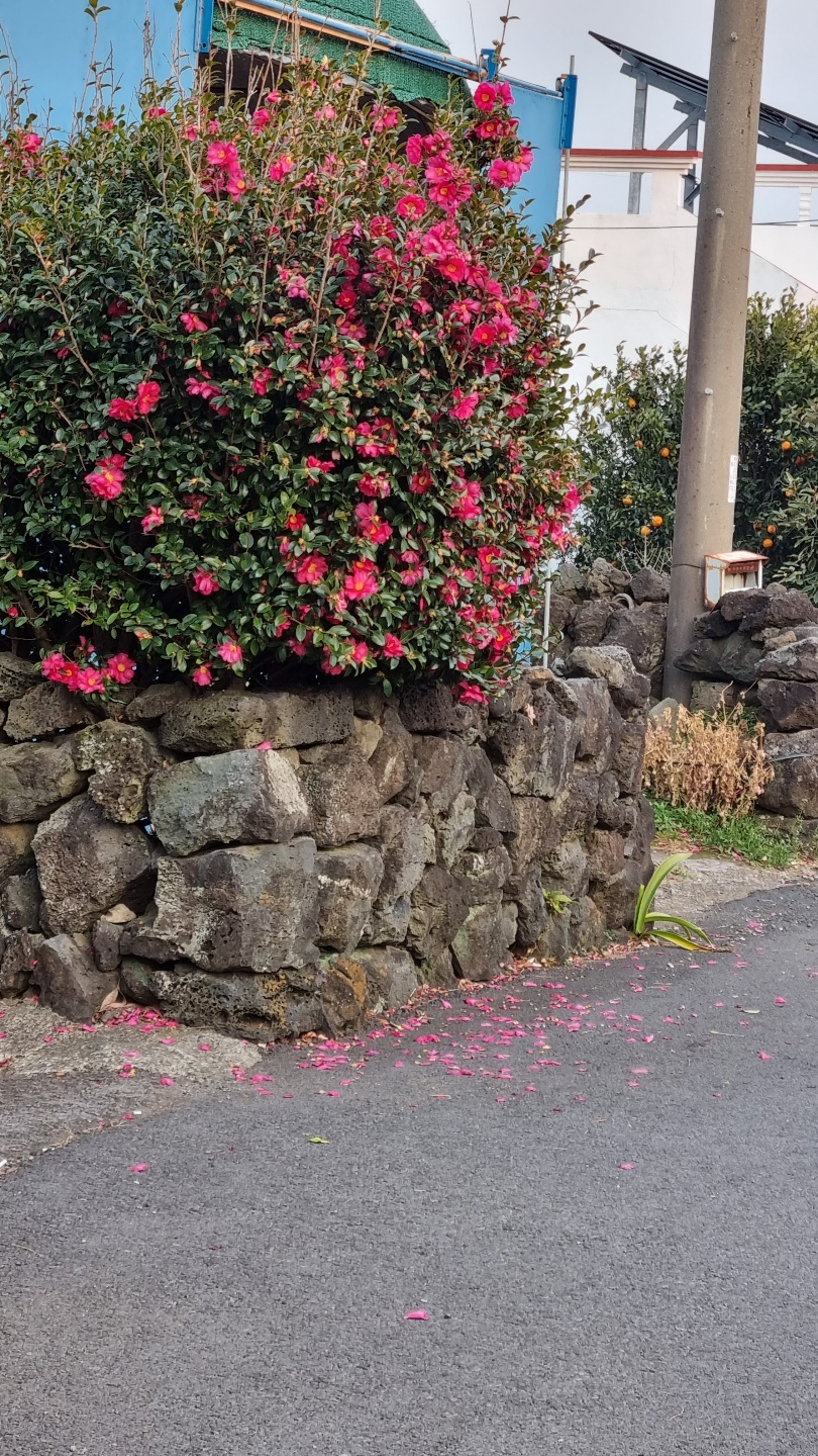 매순간이 여행이었다