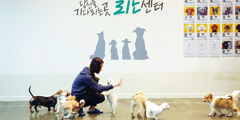 강동 리본센터