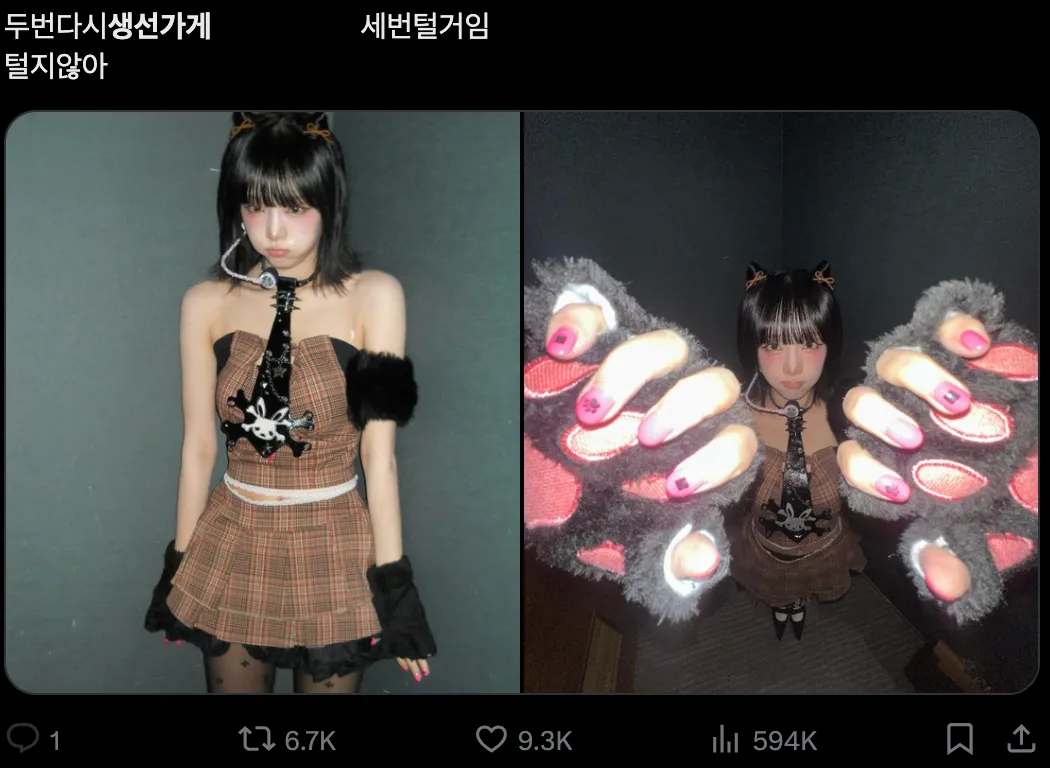 이미지 = X 캡처 (https://x.com/mykittypuppy_JG/status/1846862447636107284)