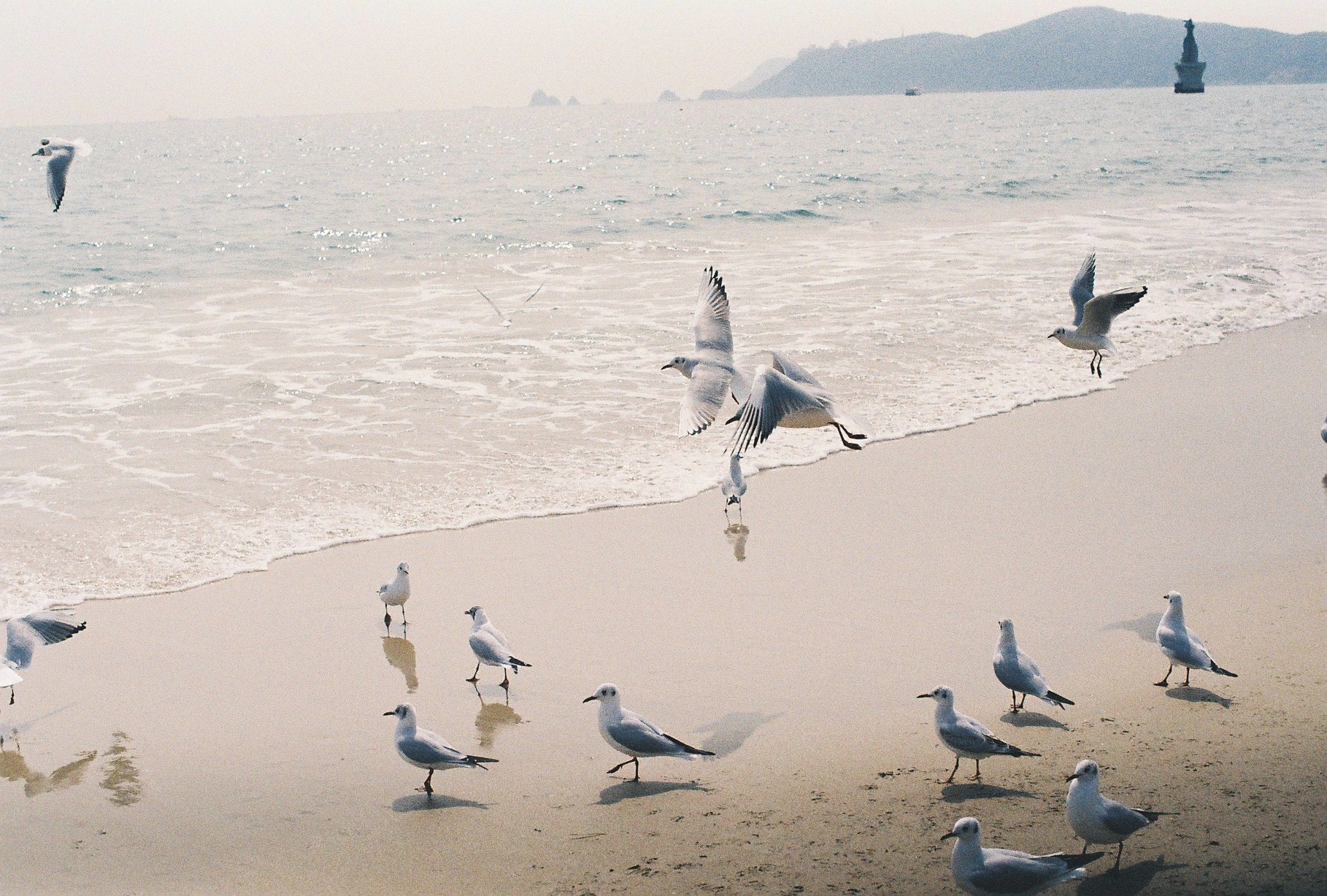 여행지에서 옛 직장 상사를 만난 적 있나요?_오늘도 새록새록_진솔의 썸네일 이미지