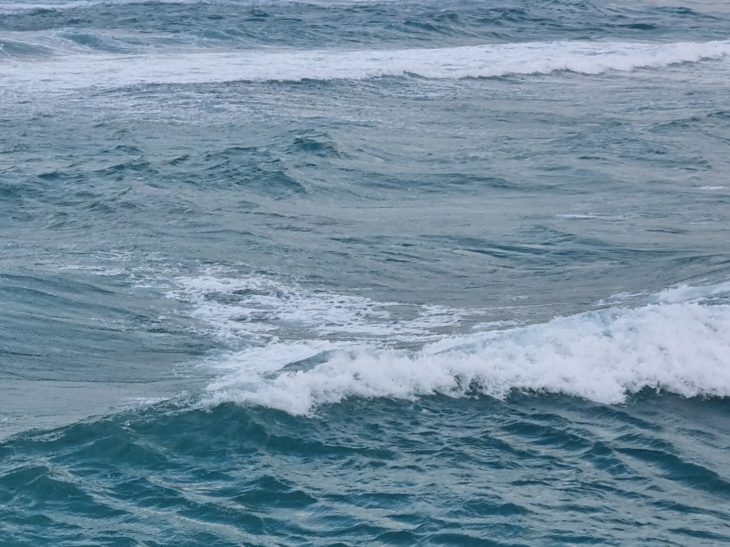 여러분 감사해요!