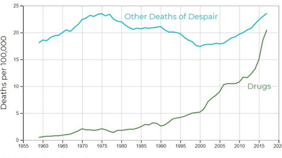 그림 3: 미국의 절망의 죽음 중 약물 (마약) 오남용에 의한 죽음