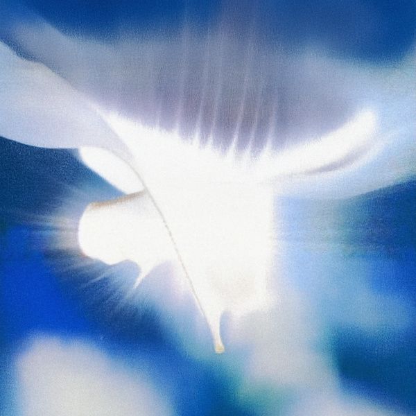 찬민(CHANMIN)_ 낙하(single 0806)