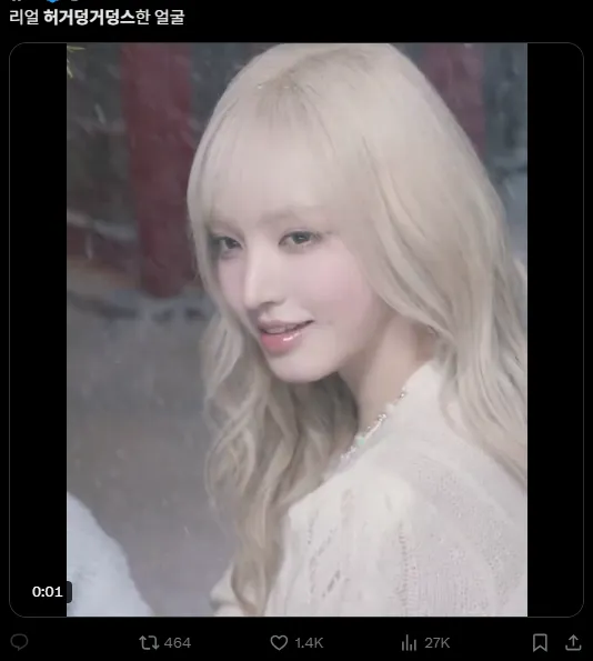 이미지 = X캡처 (https://x.com/flowerzluv/status/1889254902658118035)
