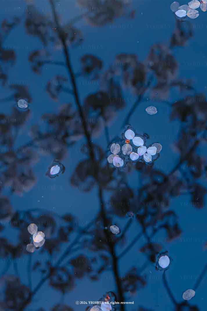 #1-3. 일렁이는 봄