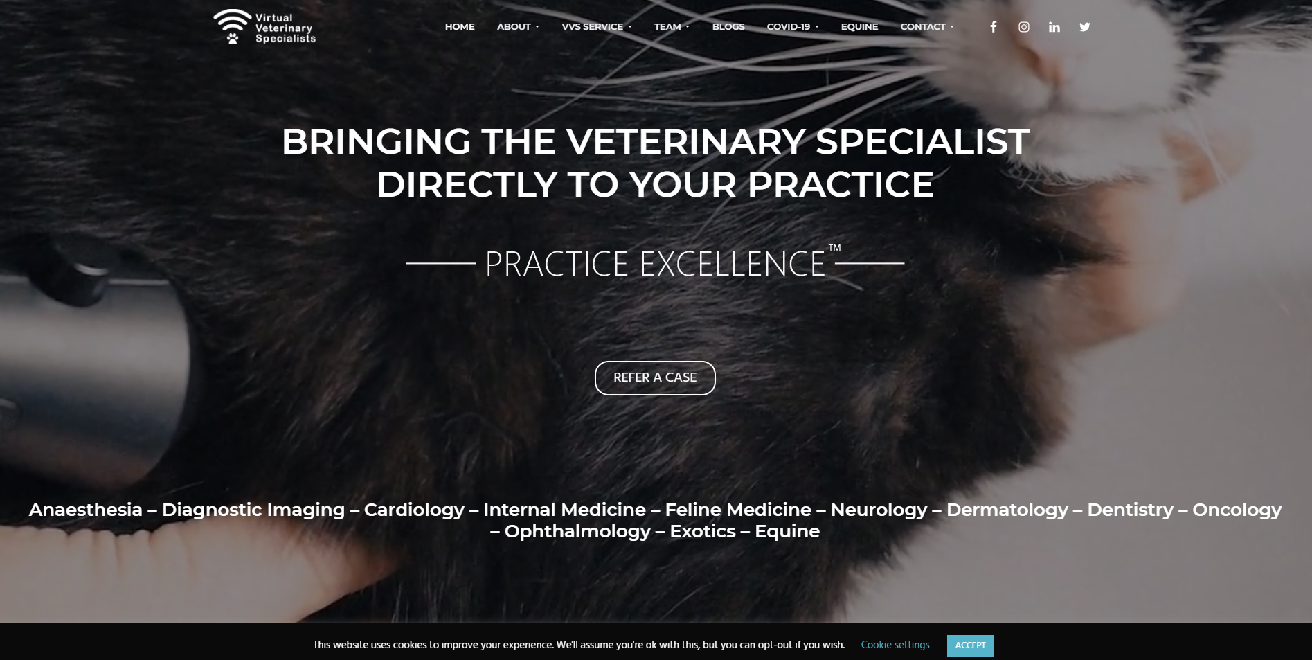 https://vvs.vet/