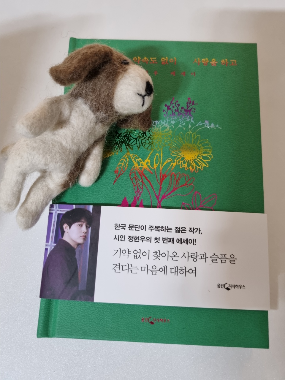 저 강아지 인형 너무 귀엽지 않나요?