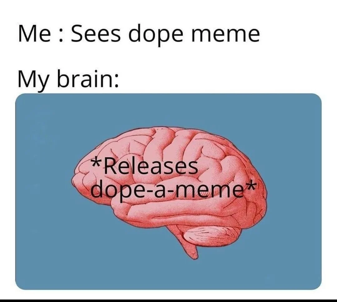 https://www.reddit.com/r/memes/comments/hdujwk/dopamine/?rdt=61692