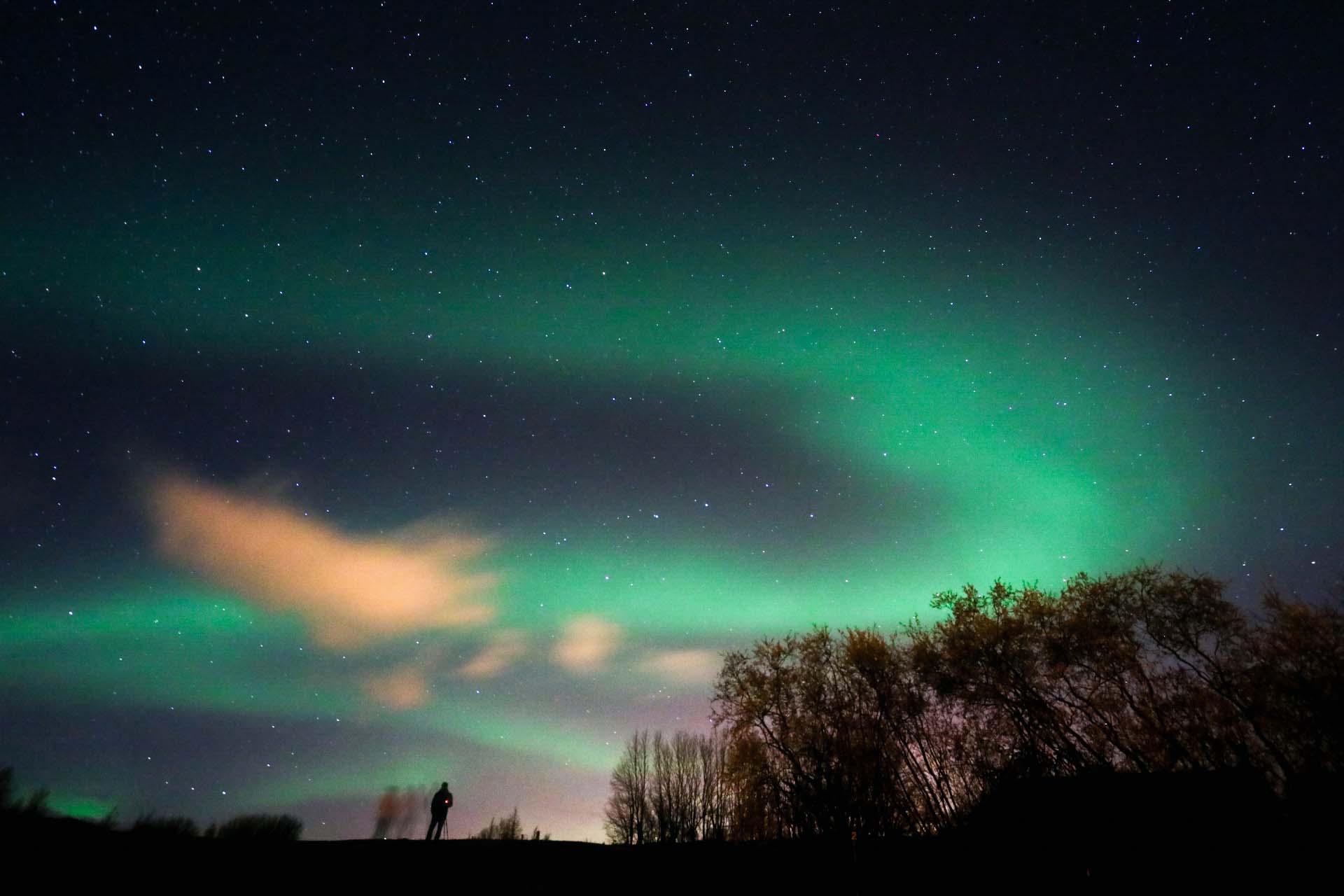 20강_사진 잘 찍는 방법 쉽게 알려주는 영뽀또의 썸네일 이미지