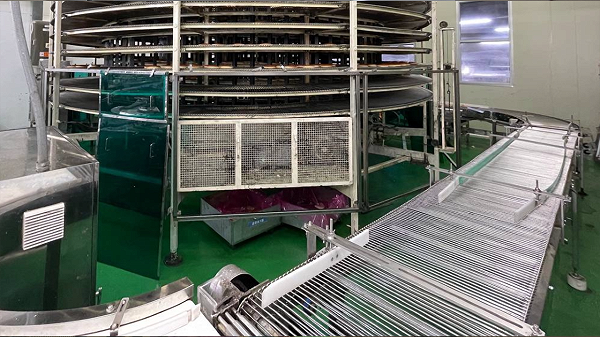 출처 : https://news.jtbc.co.kr/article/NB12246999