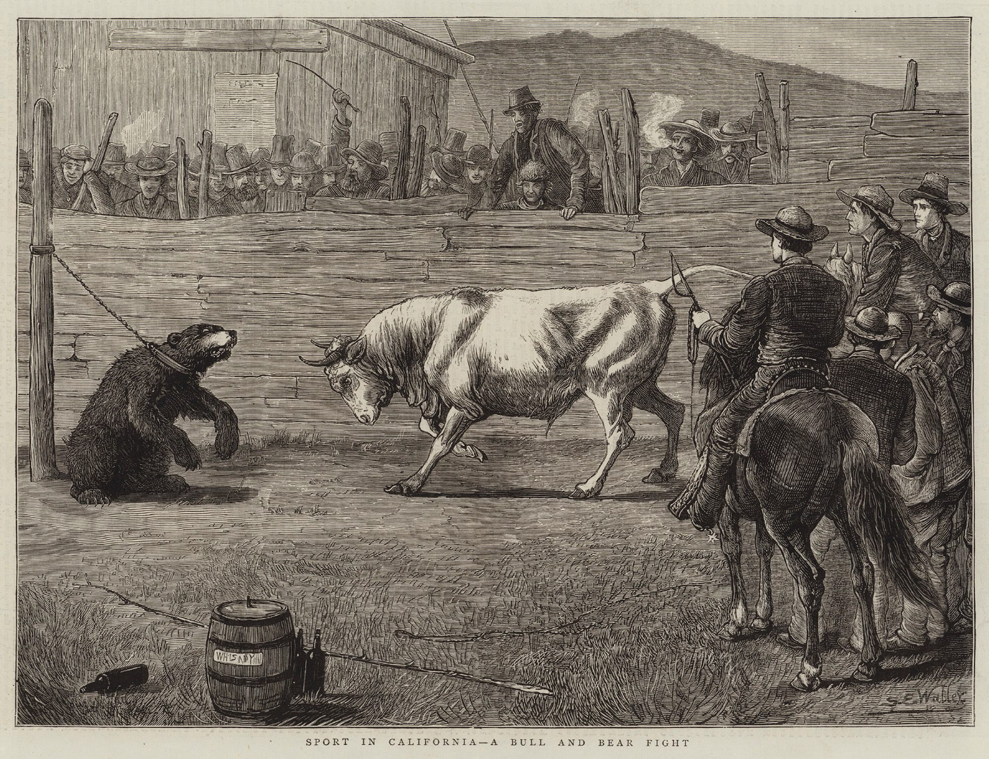 출처: www.atlasobscura.com/articles/bull-and-bear-fights-california