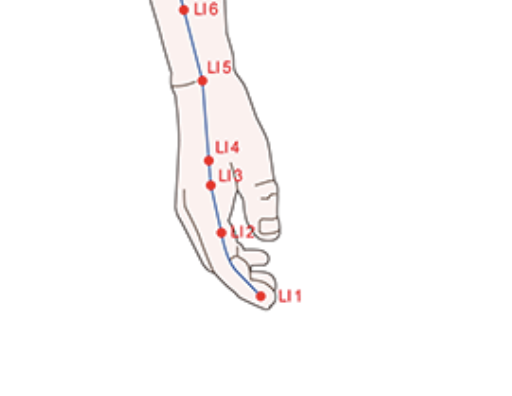 Large Intestine Meridian 4번, 합곡혈 