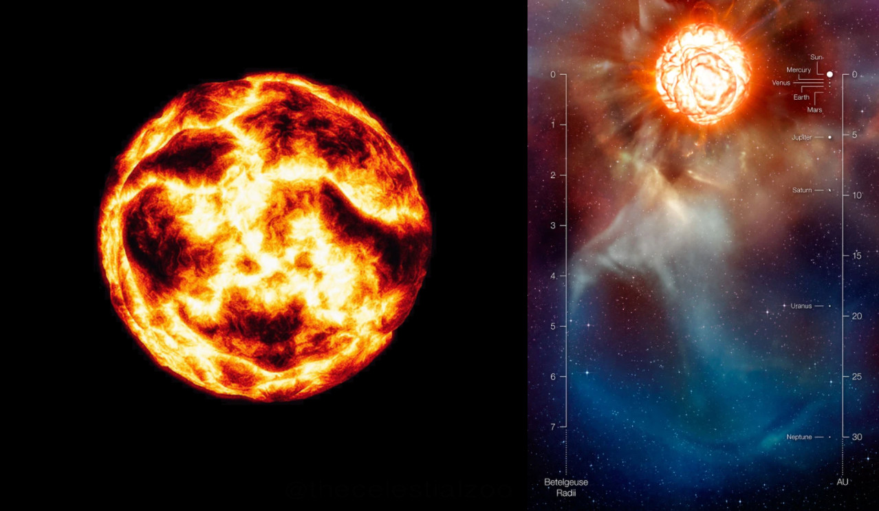 (왼쪽) 베텔게우스의 상상도입니다. 태양에 비해 표면 구조가 훨씬 불안정한 것이 특징입니다. 출처: Wikimedia Commons/Pablo Carlos Budassi, CC BY-SA 4.0 (오른쪽) 베텔게우스의 크기를 태양계와 비교한 그림입니다. 오른쪽에 아주 작게 태양계 행성의 위치가 표시되어 있습니다. 출처: ESO/L. Calcada, CC BY 4.0