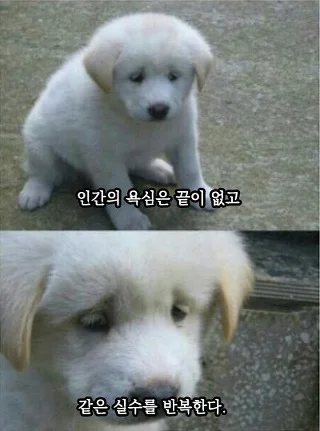 또 다시 시작되는 백수의 삶...?