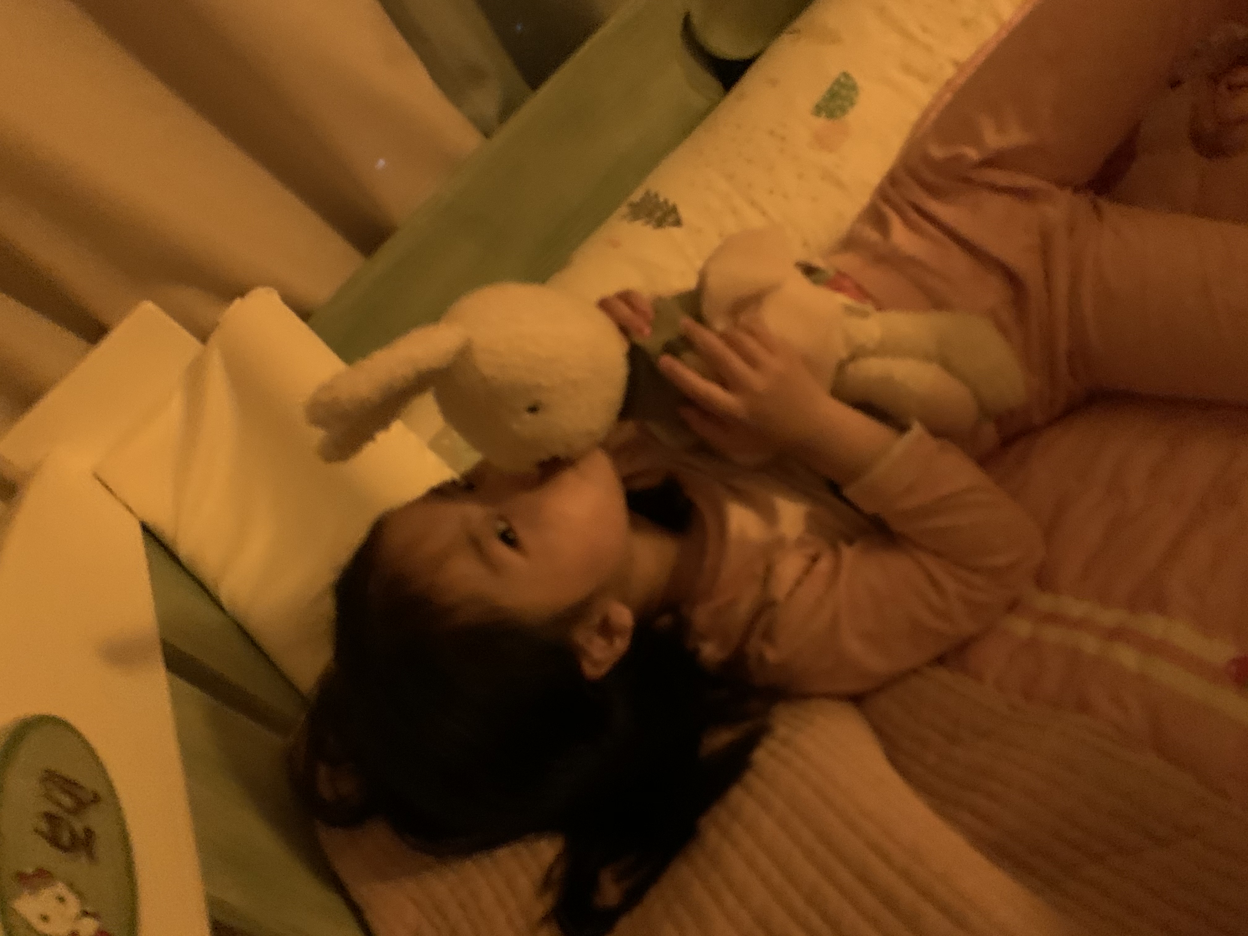 이글루 장영은이 팡이에게 선물해준 토끼인형. 현재는 담이의 애착인형이기도 하다