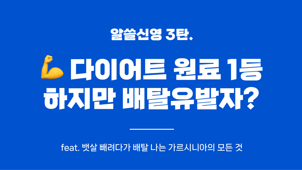새해 결심 1위 다이어트, 살 빼려다가 배탈난다?의 썸네일 이미지
