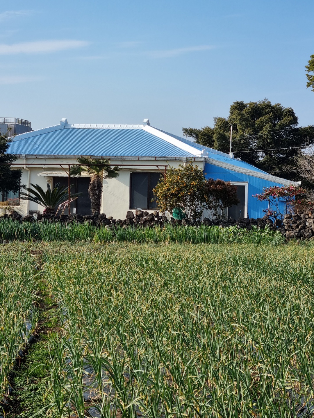 오늘의 여행지 평대리