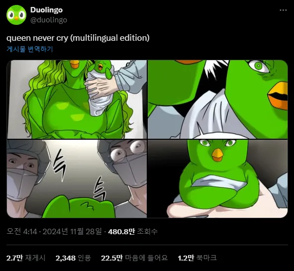 이미지 = X 캡처 (https://x.com/duolingo/status/1861850994679669054)