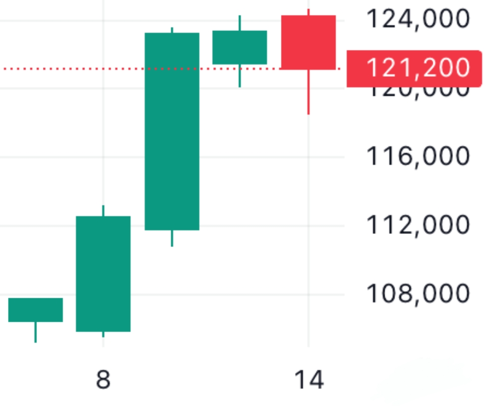🐬[DOLFIN] 10월 15일 장전 체크리스트의 썸네일 이미지