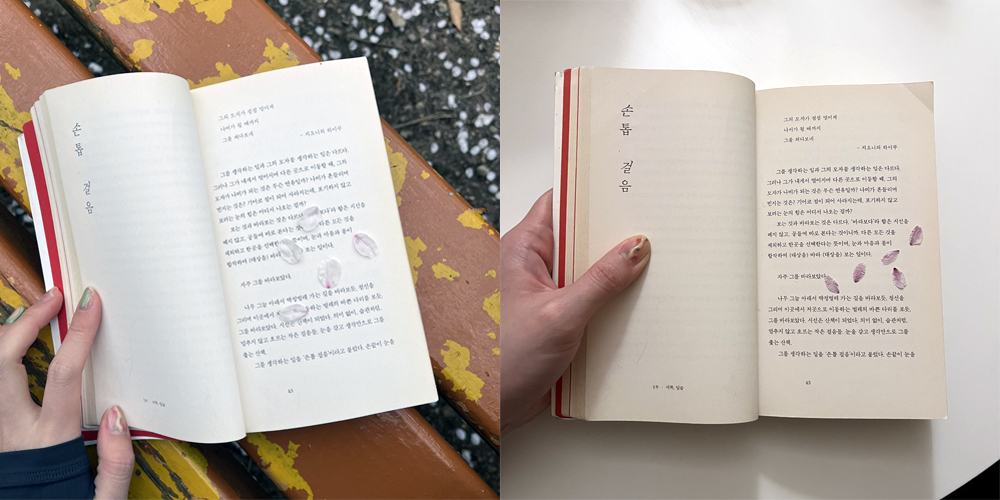 며칠 전 벚꽃 나무 아래에서 책을 읽다,책 위로 떨어진 꽃잎을 모아 압화를 만들었어요.크기도 줄고, 모양도 뾰족해졌지만어쩐지 색은 더 짙어졌지요.어쩌면 우리의 마음 속에 진하게 남는 몇 몇 추억들도,이렇게 만들어진 것이 아닐까 생각했어요.행복한 순간이 금세 흘러가 사라지는 것이아쉽고 아프고 슬플 때도 있지만,이렇게 진하게 마음 속에 예쁘게 남을 거라고 생각하니마냥 슬프지만은 않은 것 같아요.마음 속에 더 예쁘고 진한 행복들을꼭꼭 눌러 예쁜 압화로 만들어 둘래요.