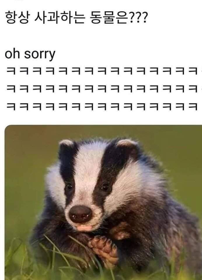 첨부 이미지