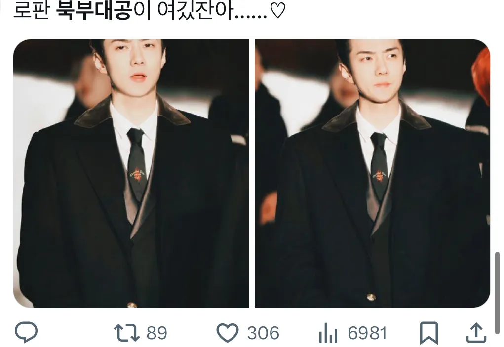이미지 = X 캡처 (https://x.com/shja412/status/1894675599706460518?s=46&t=haa89YmJwEi-L6WEVZkBfg)