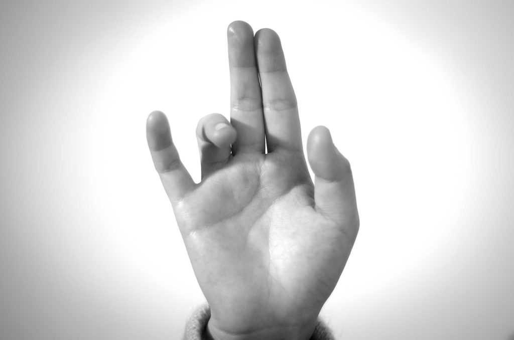 Nasagra Mudra (Pranayama mudra) ©️ Forceful Tranquility