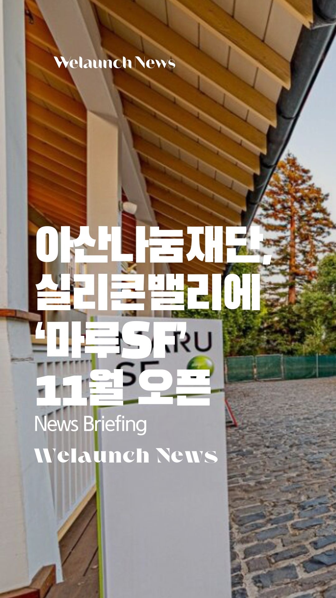 영상 뉴스 보기