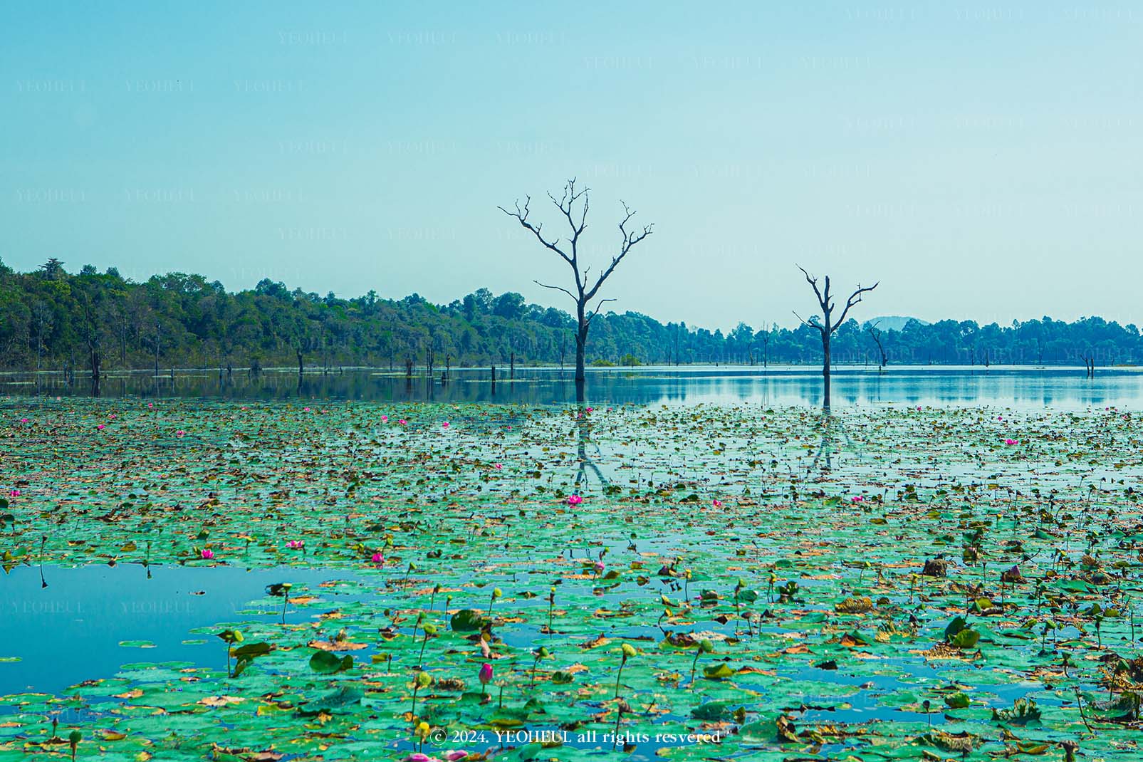 이해할 수 없는 것들을 이해해야 하는 이 세상에서