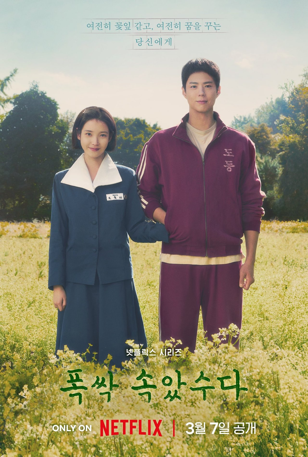 기억의 단상 - 2025. 05. 12의 썸네일 이미지