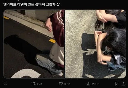 이미지 = X캡처 (https://x.com/funnyidol_news/status/1922184682709319821)