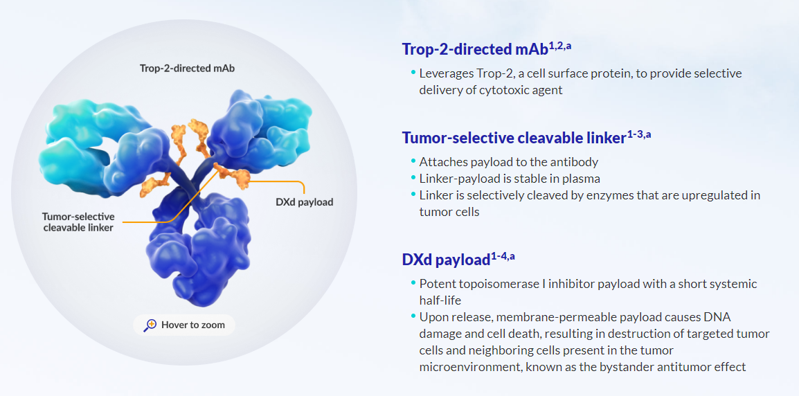 출처: Datroway 홈페이지