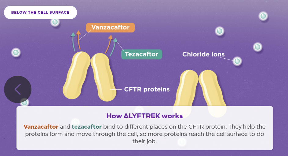 출처: Alyftrek 홈페이지